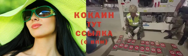 spice Арсеньев
