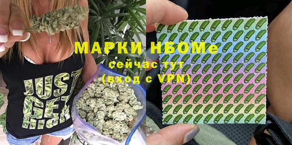 spice Арсеньев