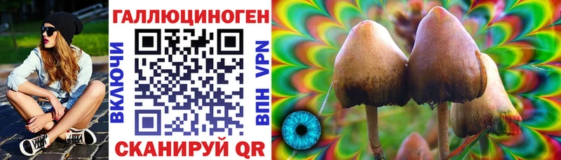 Галлюциногенные грибы GOLDEN TEACHER  Муравленко 